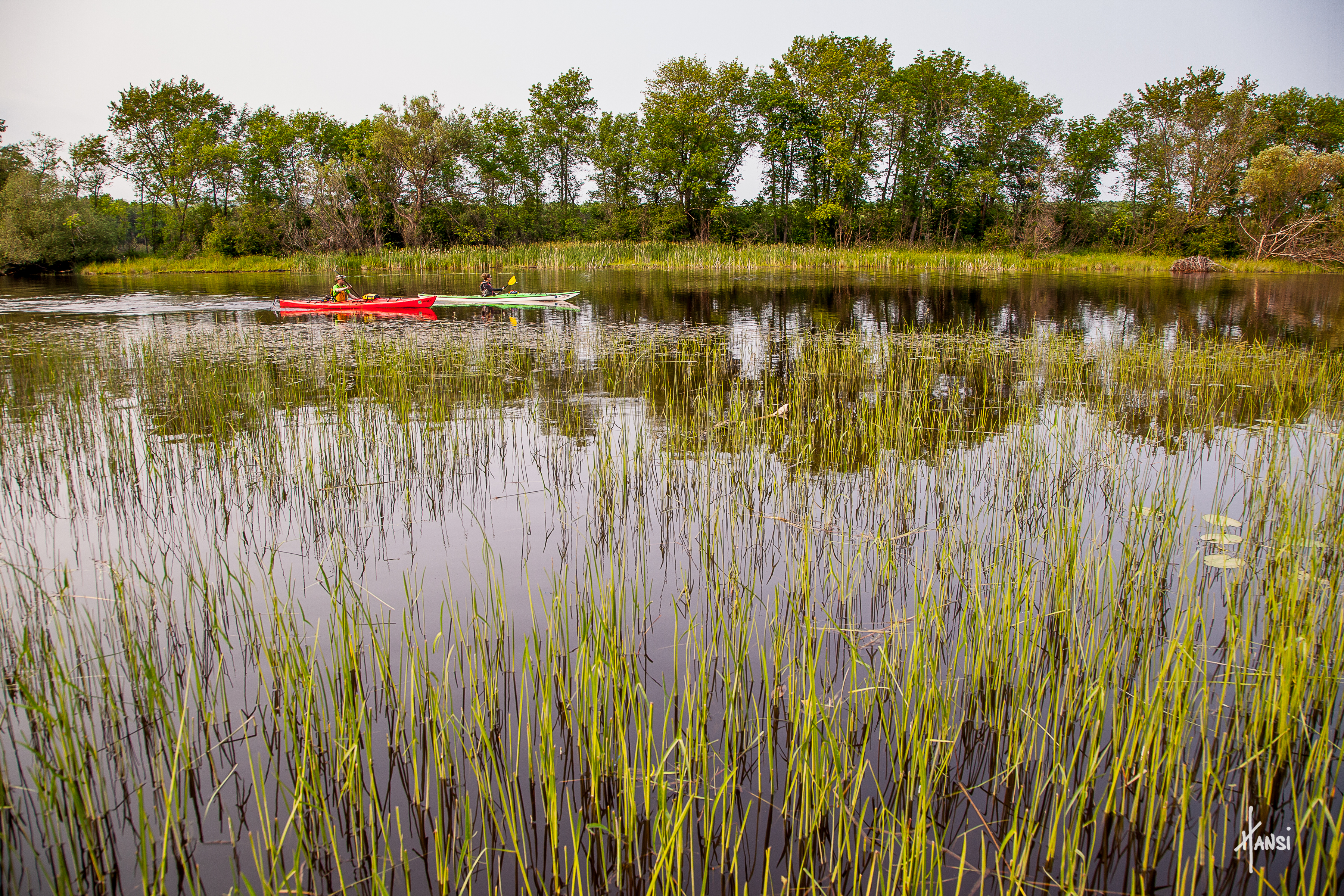 Lake Superior Headwaters