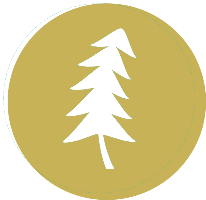 Landscape Stewardship Vision