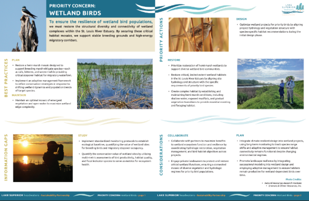 Landscape Stewardship Vision image 1